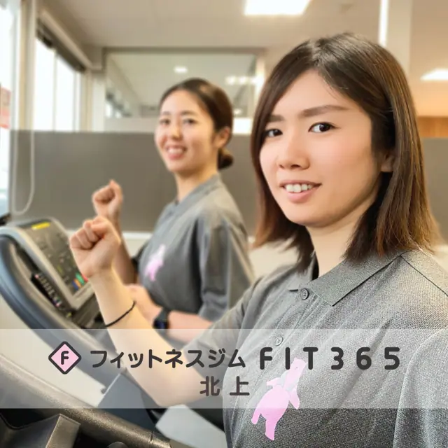 FIT365 北上
