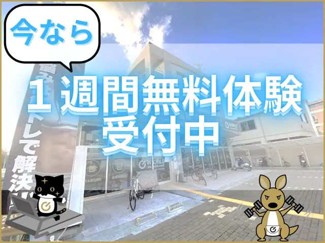 ワールドプラスジム 京都中久世店