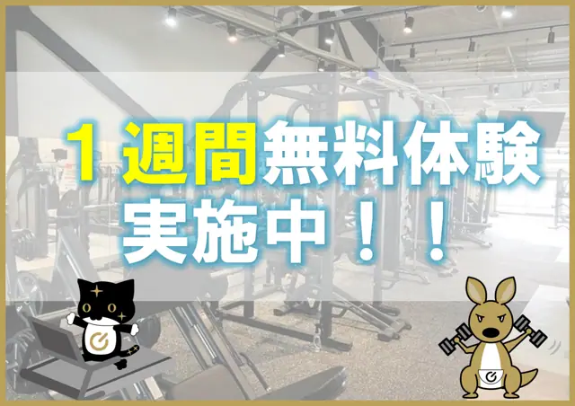ワールドプラスジム 伊賀上野店