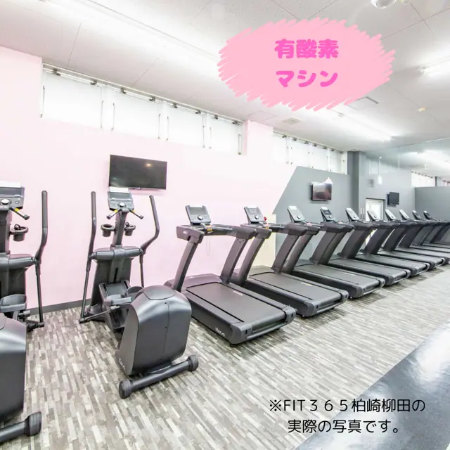 FIT365 柏崎柳田