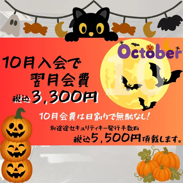 エニタイムフィットネス 亀有店