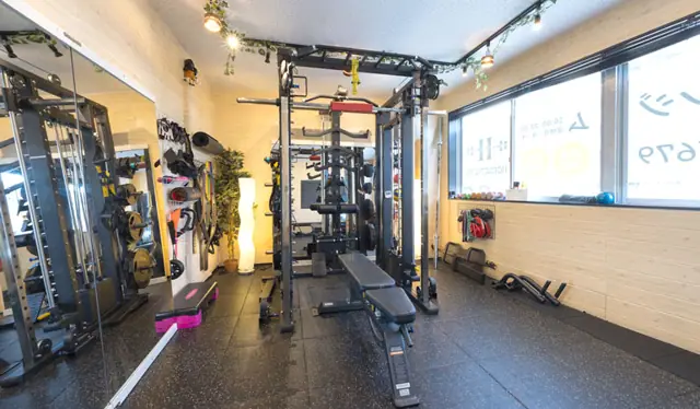 HORNET GYM
