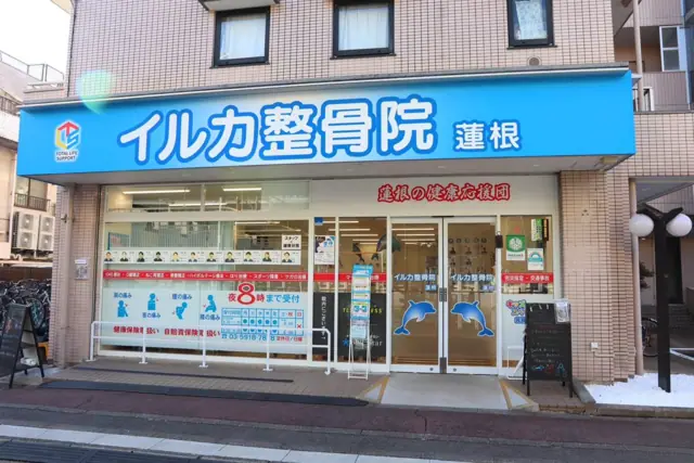 TLS FITNESS 蓮根