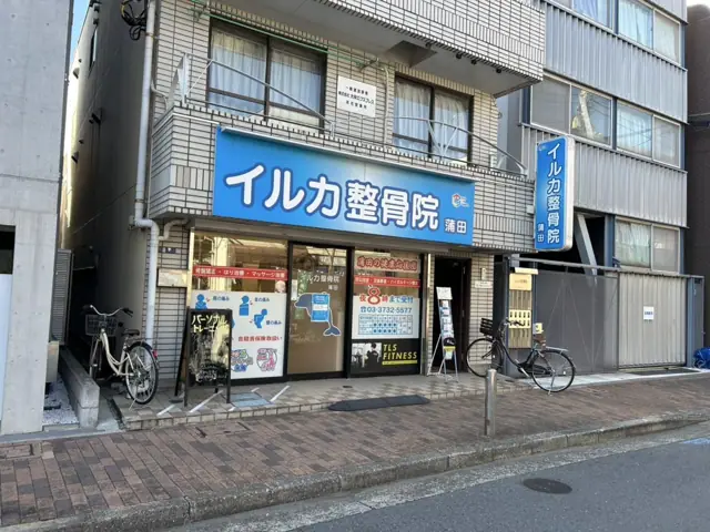 TLS FITNESS 蒲田