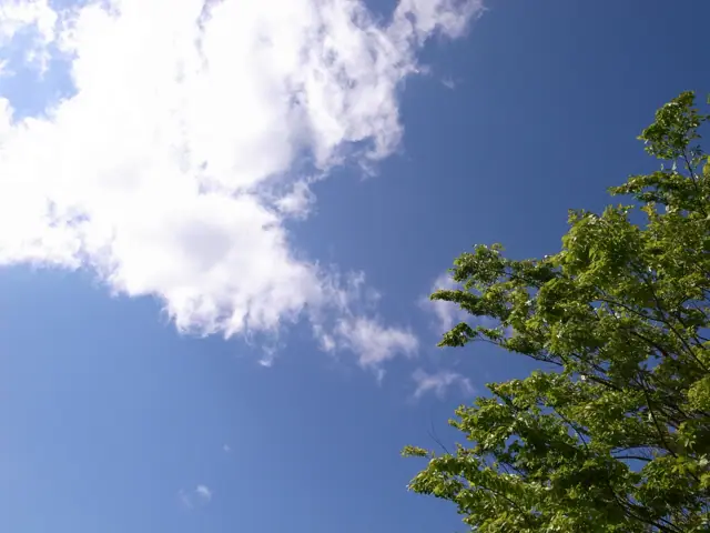 大和パーソナルジム