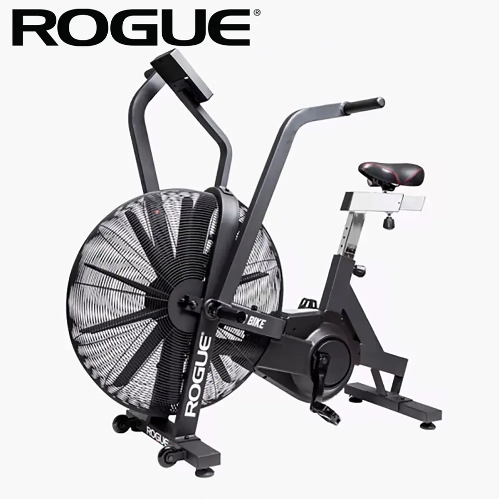 ローグ ROGUE エコーバイク V3.0