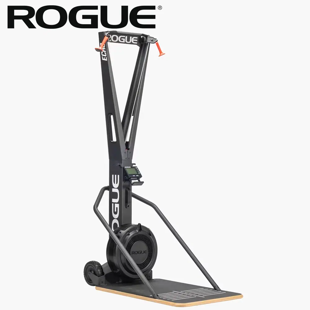 ローグ ROGUE エコースキー