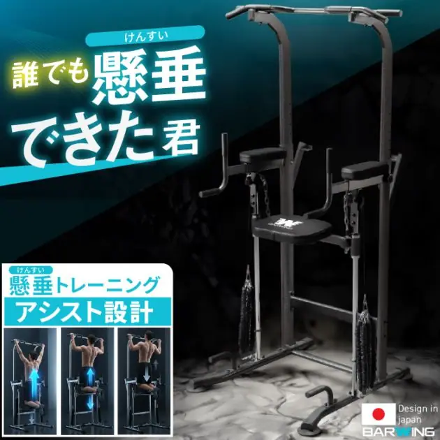 バーウィング ぶら下がり健康器 BW-KSD01