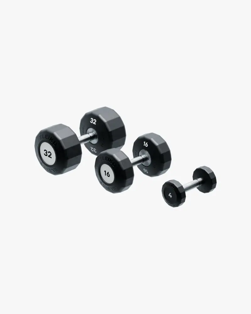 エレイコ ELEIKO Evo ダンベル 固定式